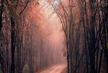 暴涨2500万欧,阿森纳17岁前锋恩瓦内里德转身价涨至5500万欧.