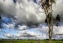 平博体育:速效救心丸!国足开场还行→反击滑倒、横梁、丢球、伤退、直红...