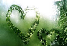 平博体育:山东省武术套路队:全力备战十五运 提升信心再.