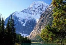 这是决定莎头组合命运的一场比赛,不得不让莎头为此拼命,南阳世乒决赛到底有多激烈?.